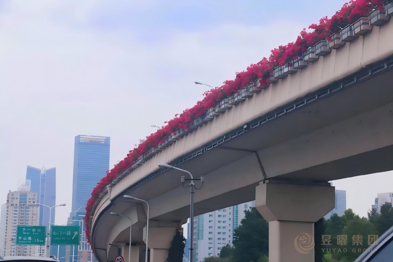 上海静安区悬挂式PP花盆